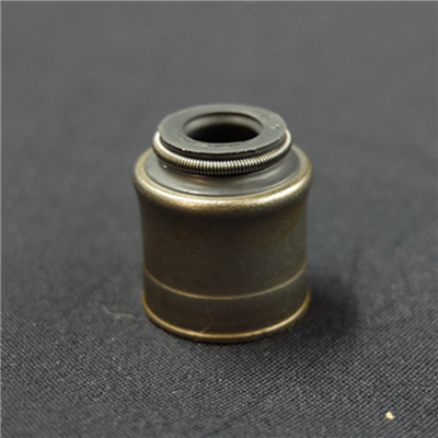 Gumijas vārsta kāta blīvējums